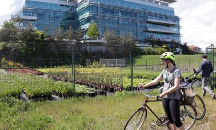 Take a ride through Victoria’s growing urban agriculture movement