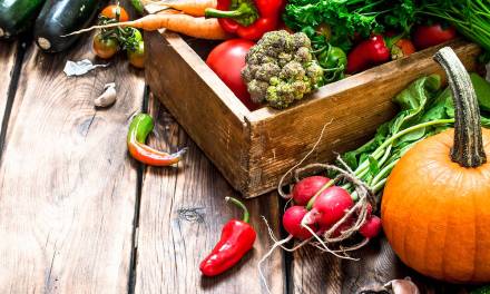NEW FESTIVAL: Vegans of Victoria unite