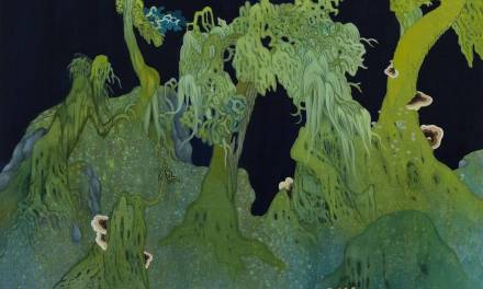 Gallery of Greater Victoria exhibit Symbiosis explores artists’ musings about ‘fascinating world’ of mushrooms