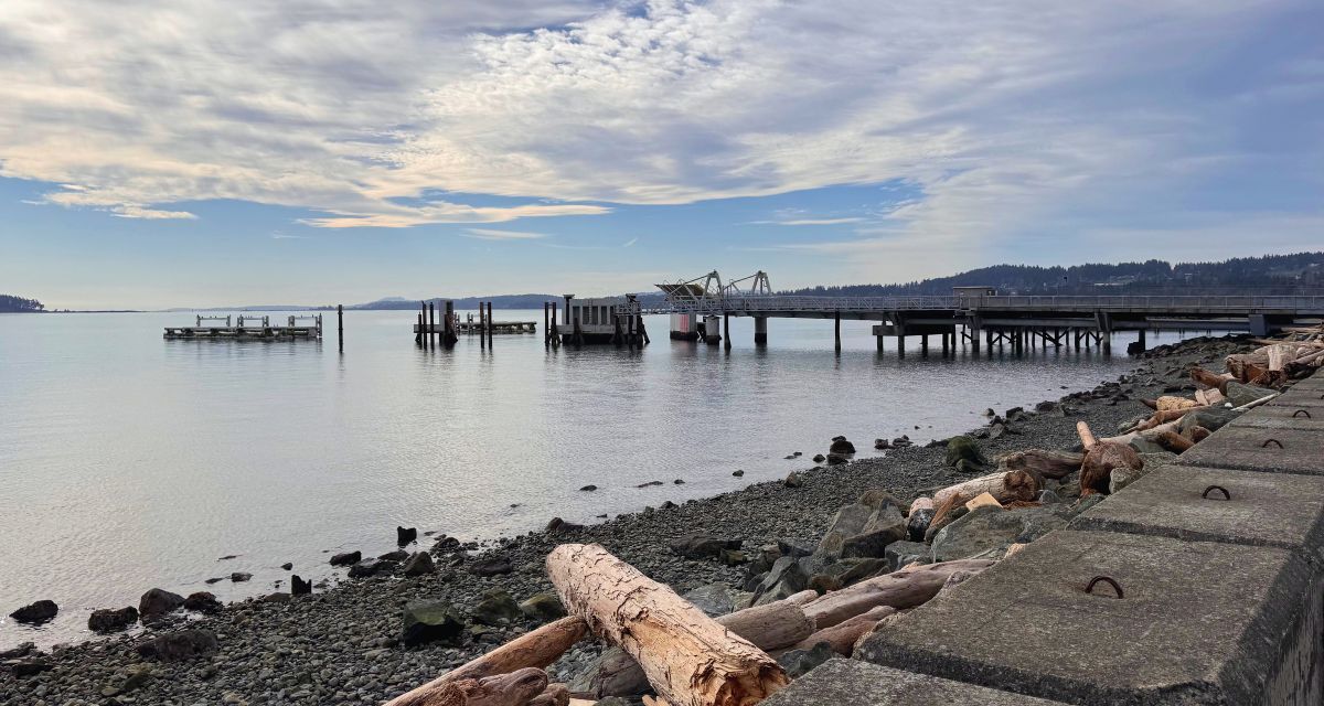 Lights, camera, action: Vancouver Island town buzzing with film ...
