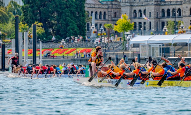 Culture, community and competition at Victoria’s two Dragon Boat Festivals